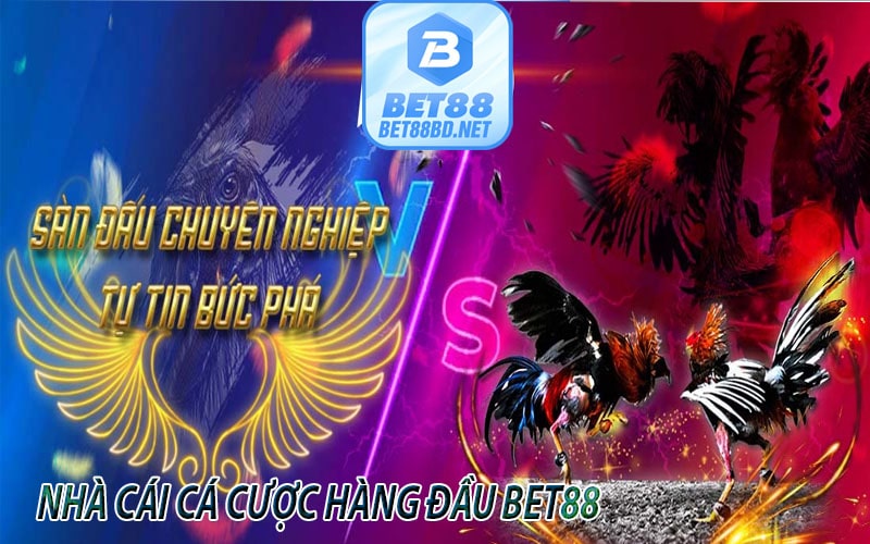 Giới Thiệu Bet88bd nhà cái uy tín